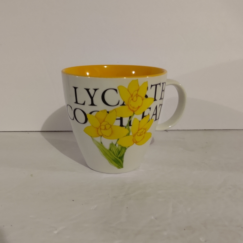 Top Choice Yellow Daffodil, "Lycaste Cocheata", 4" Mug